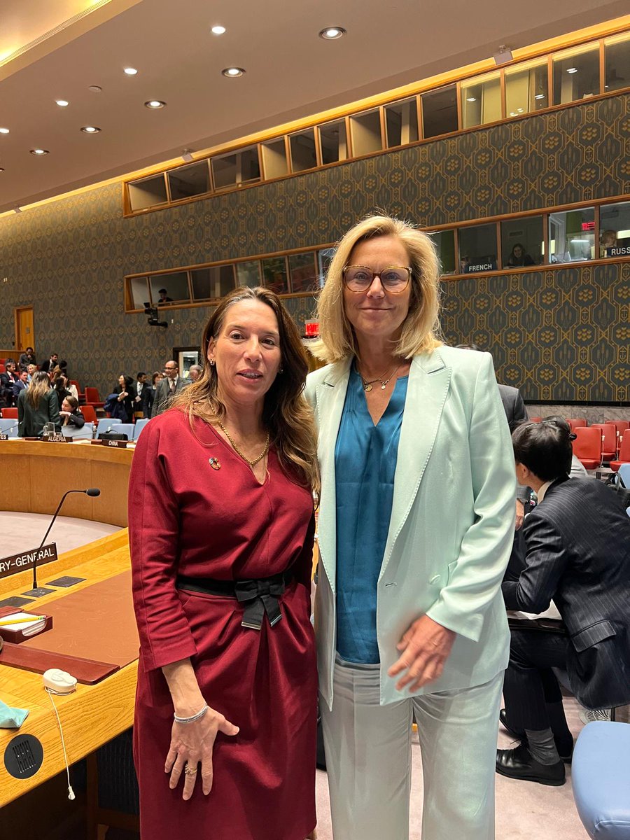 [1/2] Today the #UNSC met to hear updates from Sr. Humanitarian & Reconstruction Coordinator for #Gaza, @SigridKaag. 4 months after #UNSCR2720’s adoption, #Malta regrets that there’s been no meaningful increase in the scale & predictability of the #UN response in Gaza.#UNSCMTPres