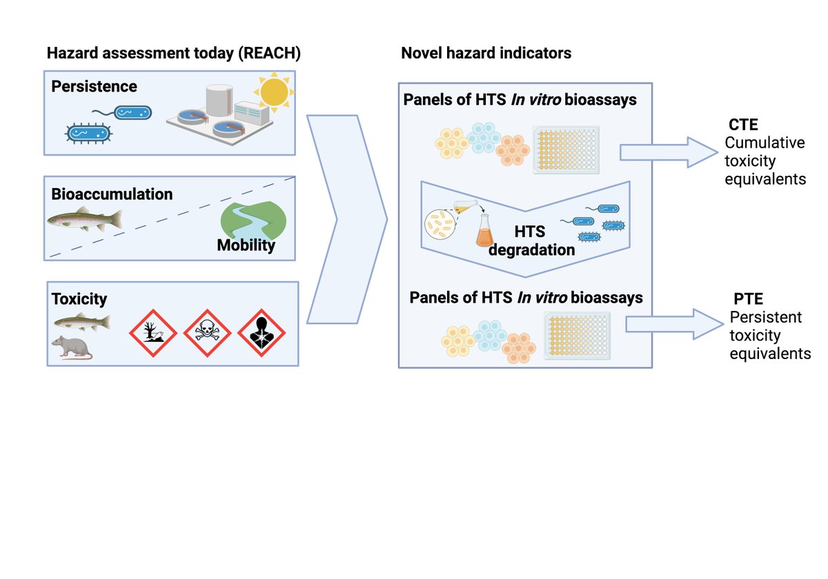 Join our team at UFZ Cell Toxicology @UFZ_CITE for this exciting opportunity to modernize hazard assessment of chemicals with new approach methodologies. Four 2-year full-time positions for toxicologists or environmental/analytical chemists (with Master or PhD).