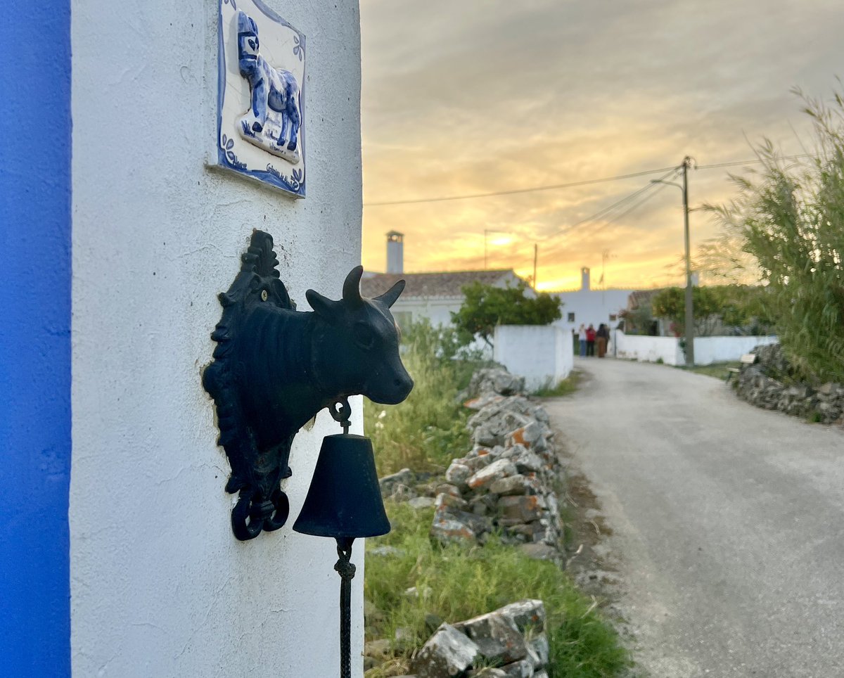 Road trip to rural part Algarve, close to Alentejo region, such  beautiful and simple way of life @visitportugal #travelphotography #dublinphotographer #portugal