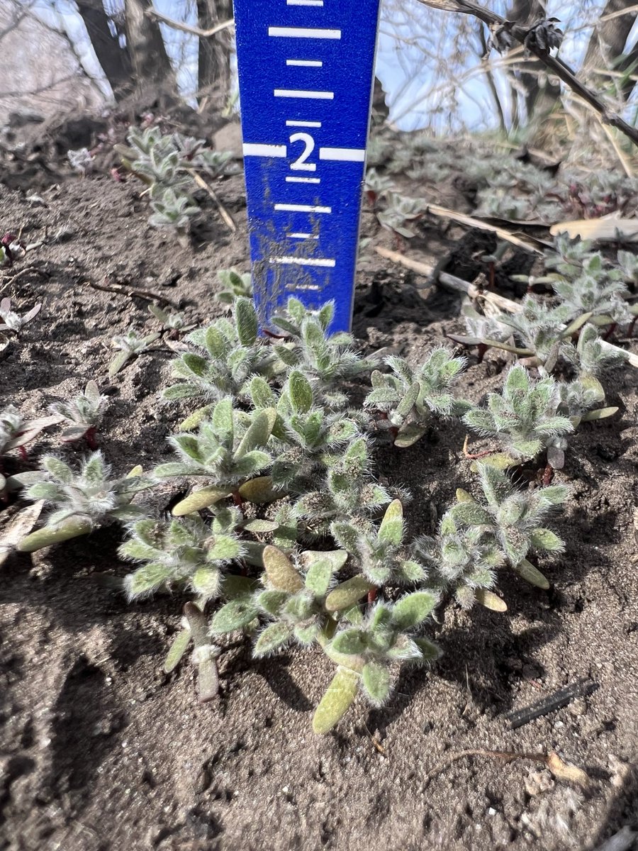 Troy Turner tweet media