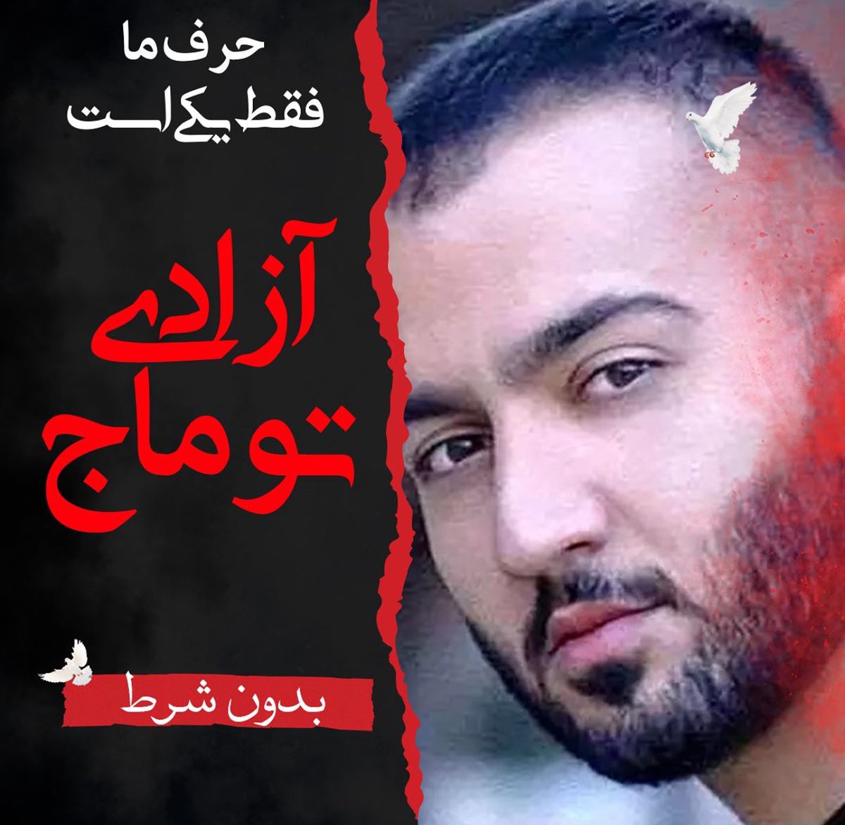 آزادیِ #توماج_صالحی ، مقدمه آزادی همگی مردم ایران از ۴۵ سال غارت و جنایت در این سرزمین خواهد بود؛ پس مبارزه برای توماج، مبارزه برای سرنوشت همگی ماست 🙏🏻❤️✌🏻 #FreeToomaj #ToomajSalehi