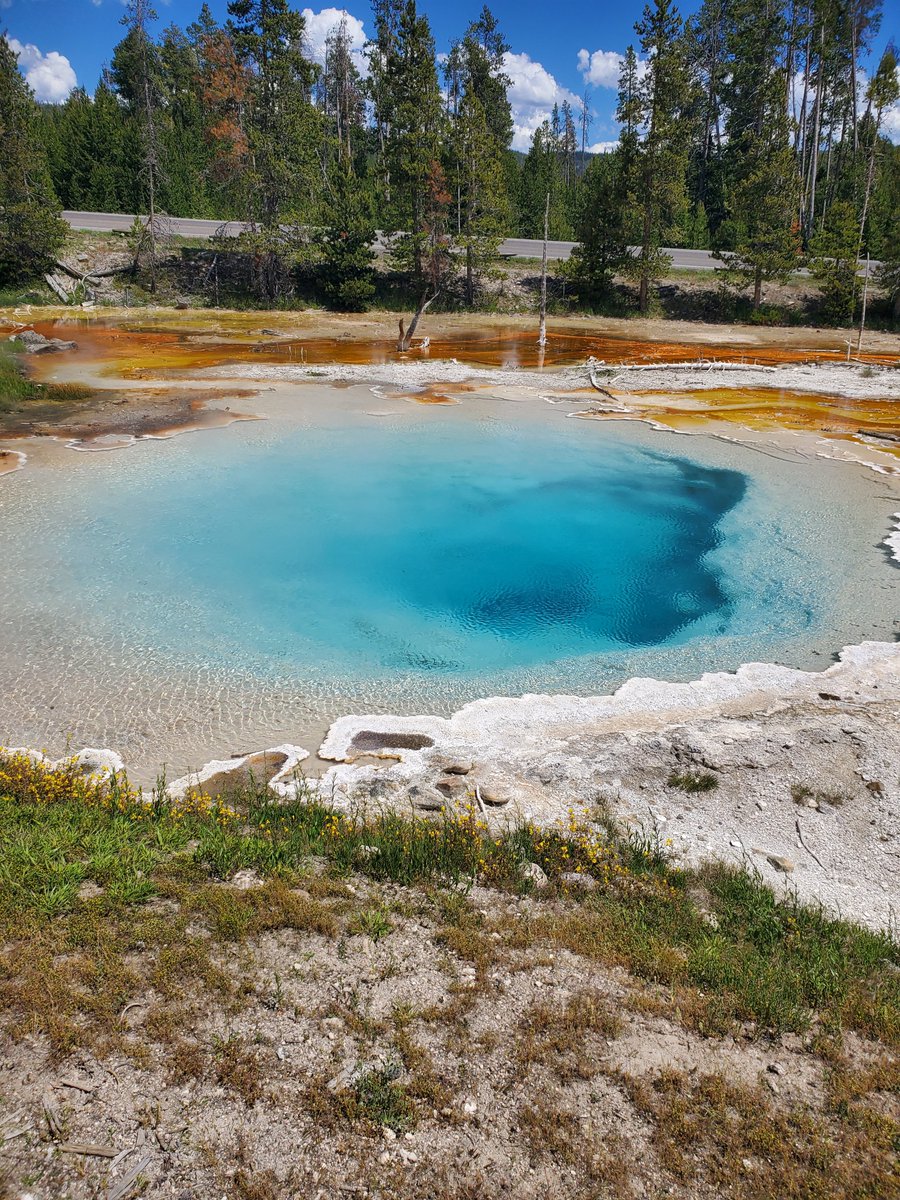 Geological Society of America Publications tweet media