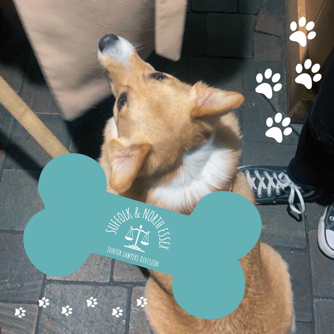We are interrupting your day to announce the very important news that non-human lawyers are very welcome to our events and we are delighted to share that Hubie (aka Hubert) is our first paw-rtner!

Maybe one day we will have branded bandanas and dog toys...

@hubiethecorgi