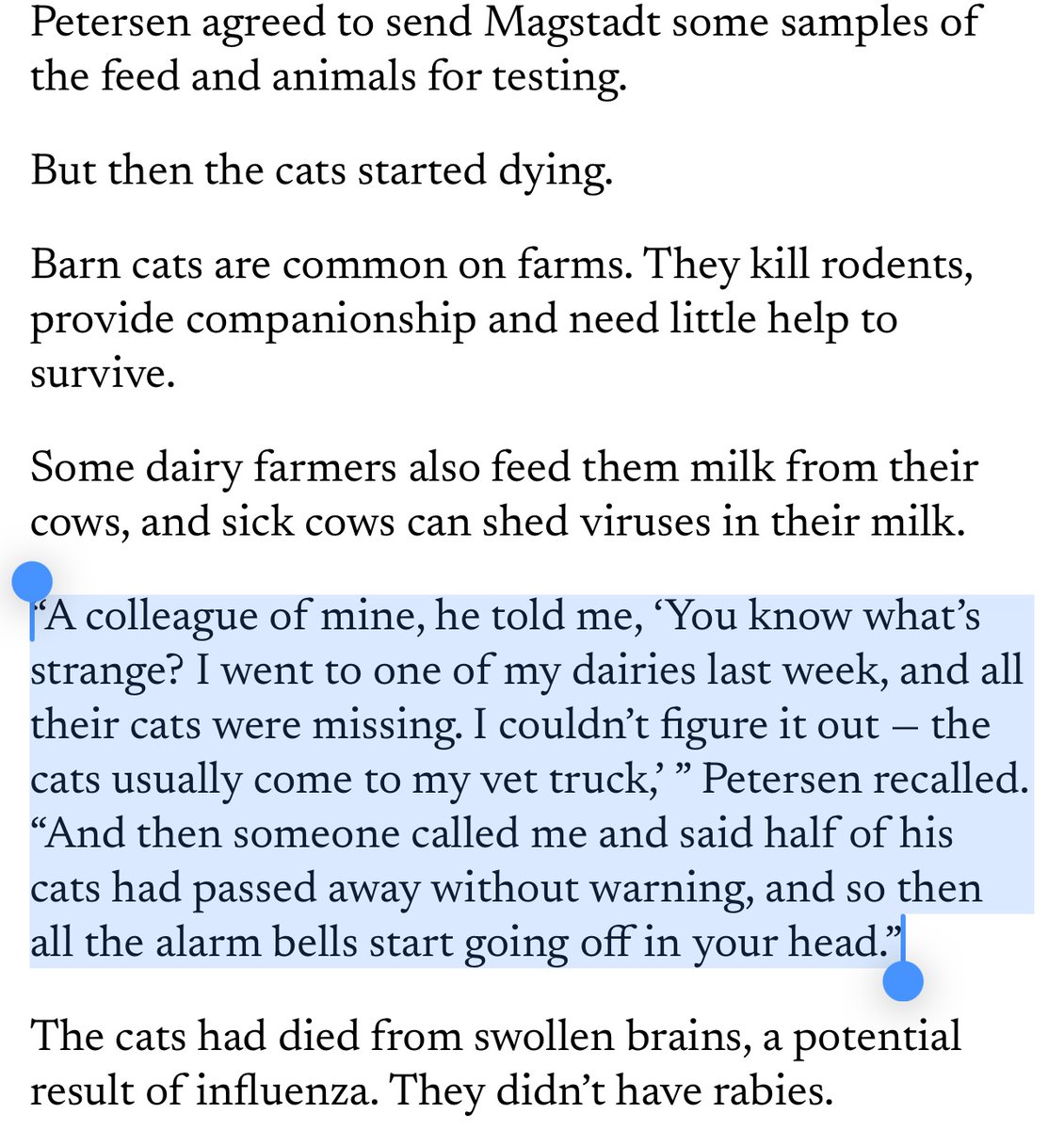 “And then someone called me and said half of his cats had passed away without warning, and so then all the alarm bells start going off in your head.”