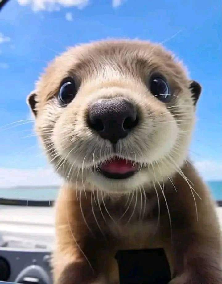 🤳🧡😂
