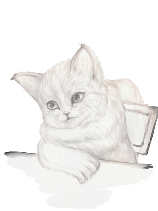 「猫 白い猫」のTwitter画像/イラスト(新着)