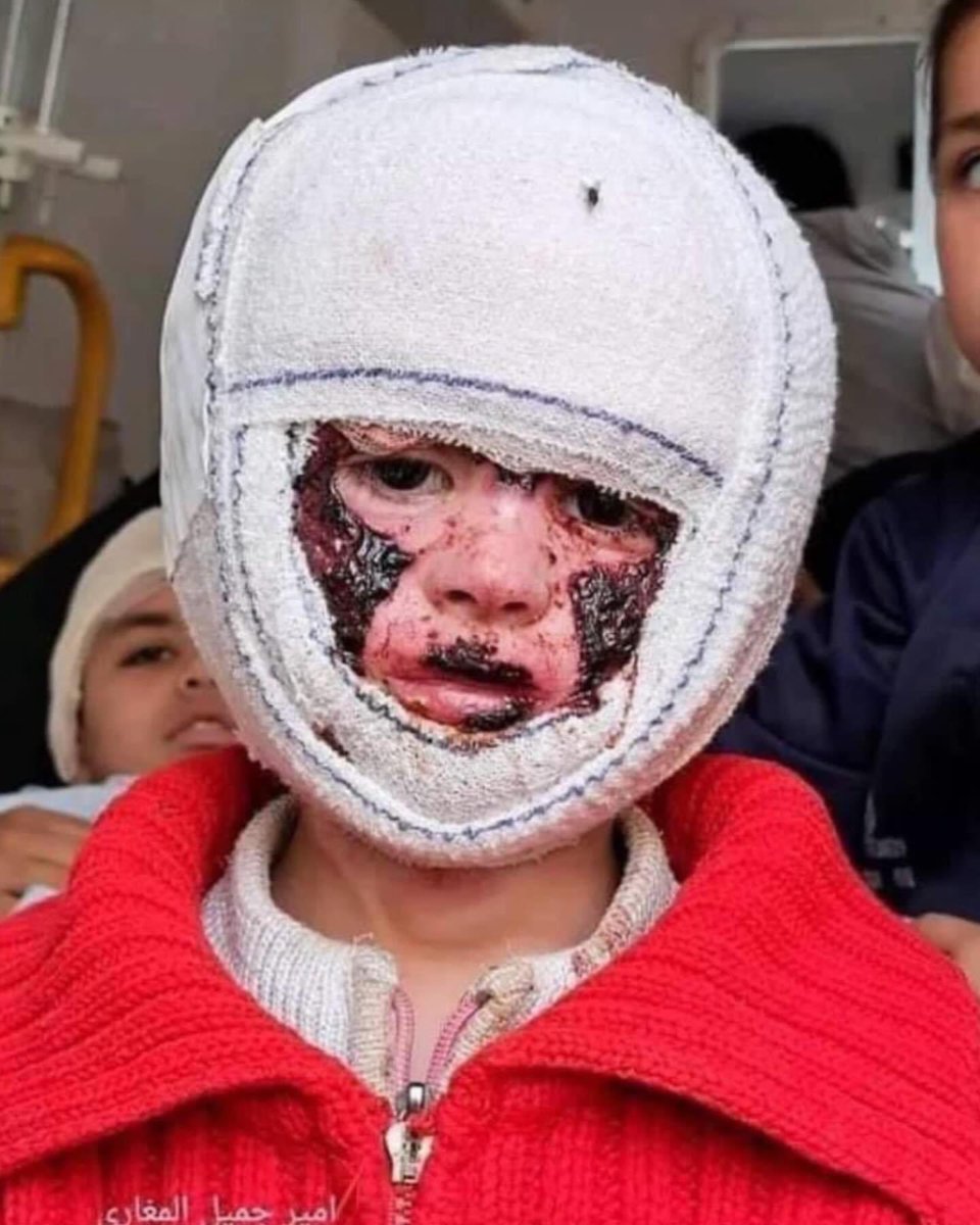 Israel is a Terrorist