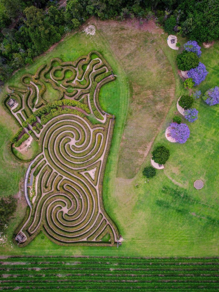 Did you know NSW has a-MAZE-ing gardens ready for you to explore: * Mayfield Garden * Bago Maze and winery * Hunter Valley Gardens * Harper's Mansion @MayfieldGarden @steventures_ @monteagudo.aerial.shots @visitsouthernhighlands #feelNSW #didyouknow #mazegardens #amazing