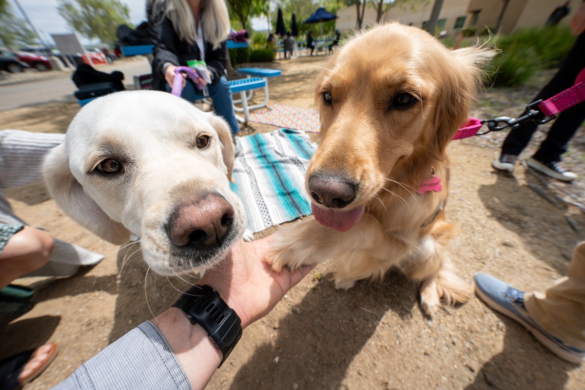 Today, @Livermore_Lab and @SandiaLabs hosted an #EarthDay celebration featuring a plant exchange, activities, vendors and hardworking therapy doggos from @ValleyHumaneSoc.