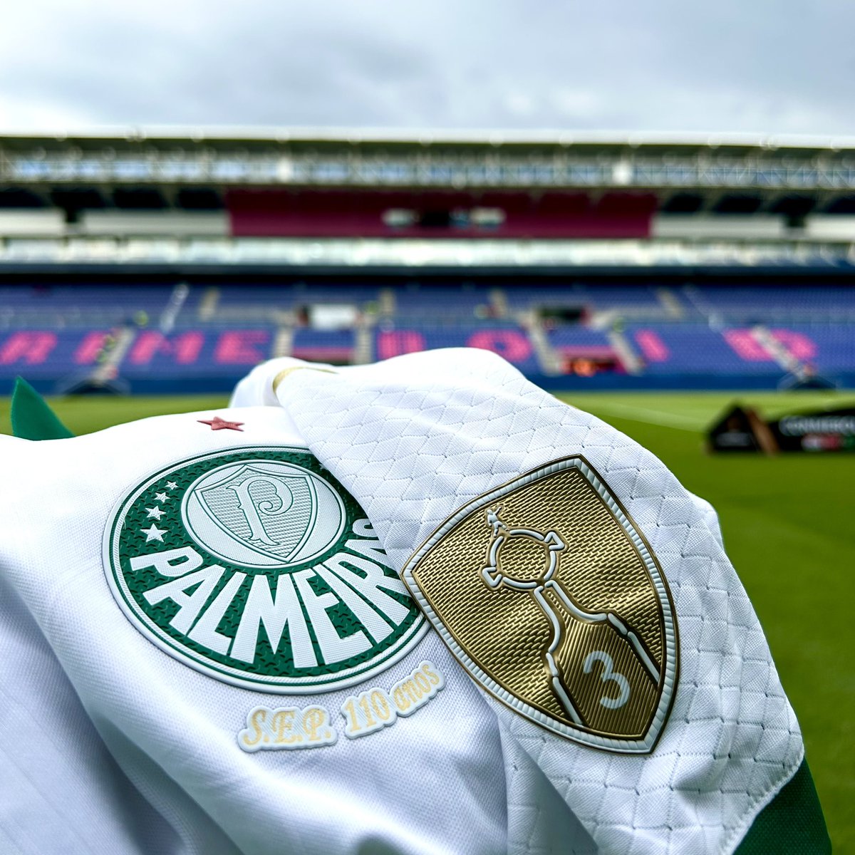 🟢 Sociedade Esportiva Palmeiras! ⚪

#AvantiPalestra #IDVxPAL
#AlmaECoração