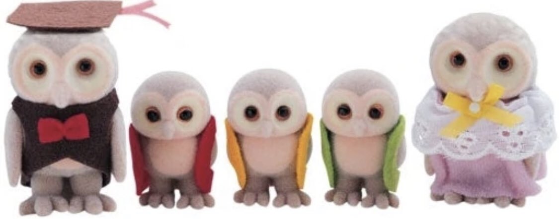 The ‘Plume’ Owl Family