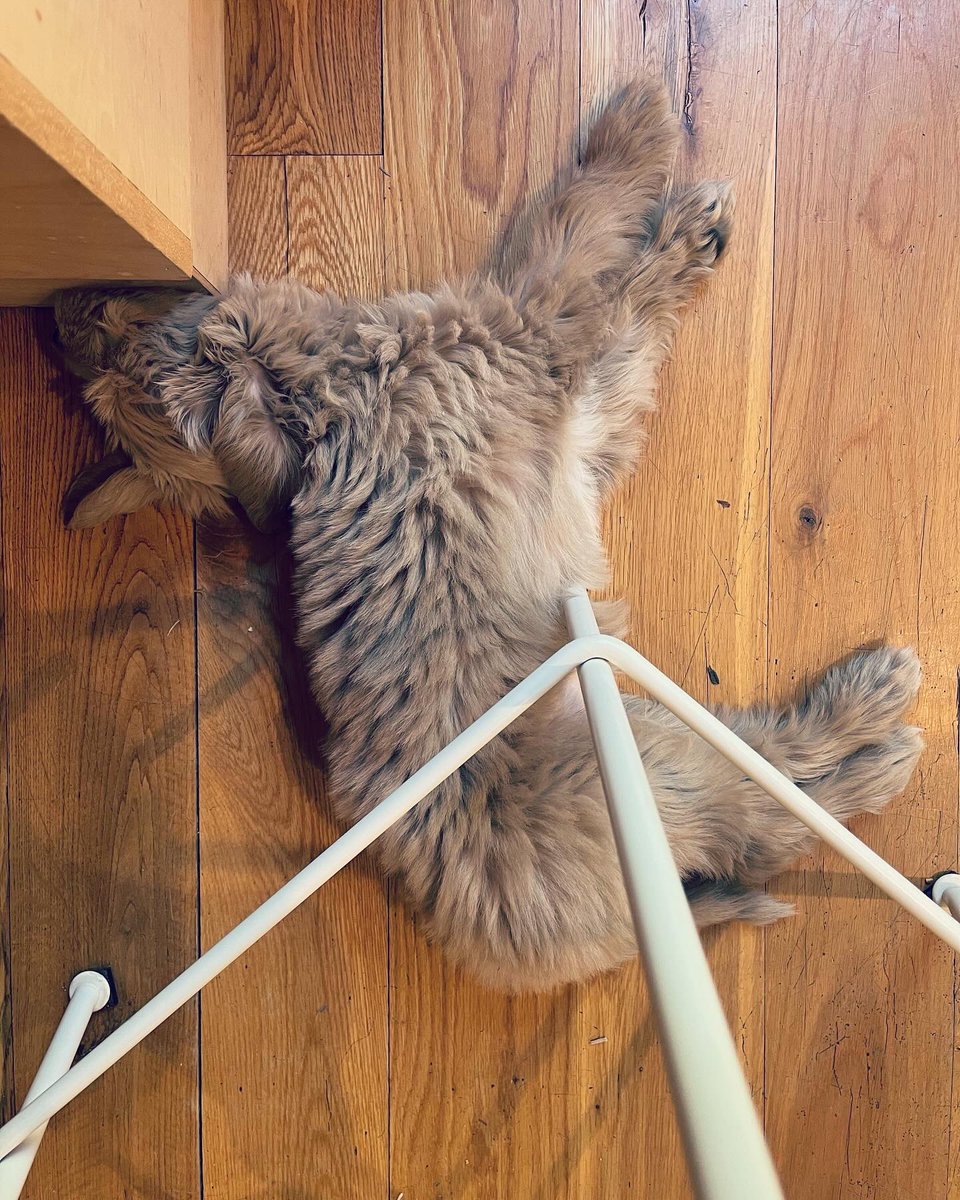 I was sad not to join this year but modeling work life balance for once??