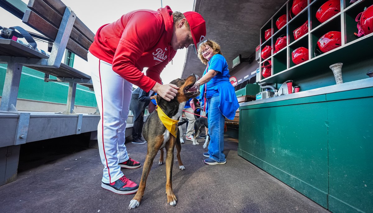 Is this heaven? No, it's Bark at the Park. 🤩 @andrewabbott33