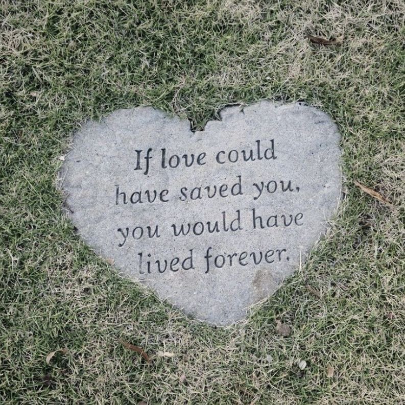 together forever ❦ (@divineki11er) on Twitter photo 