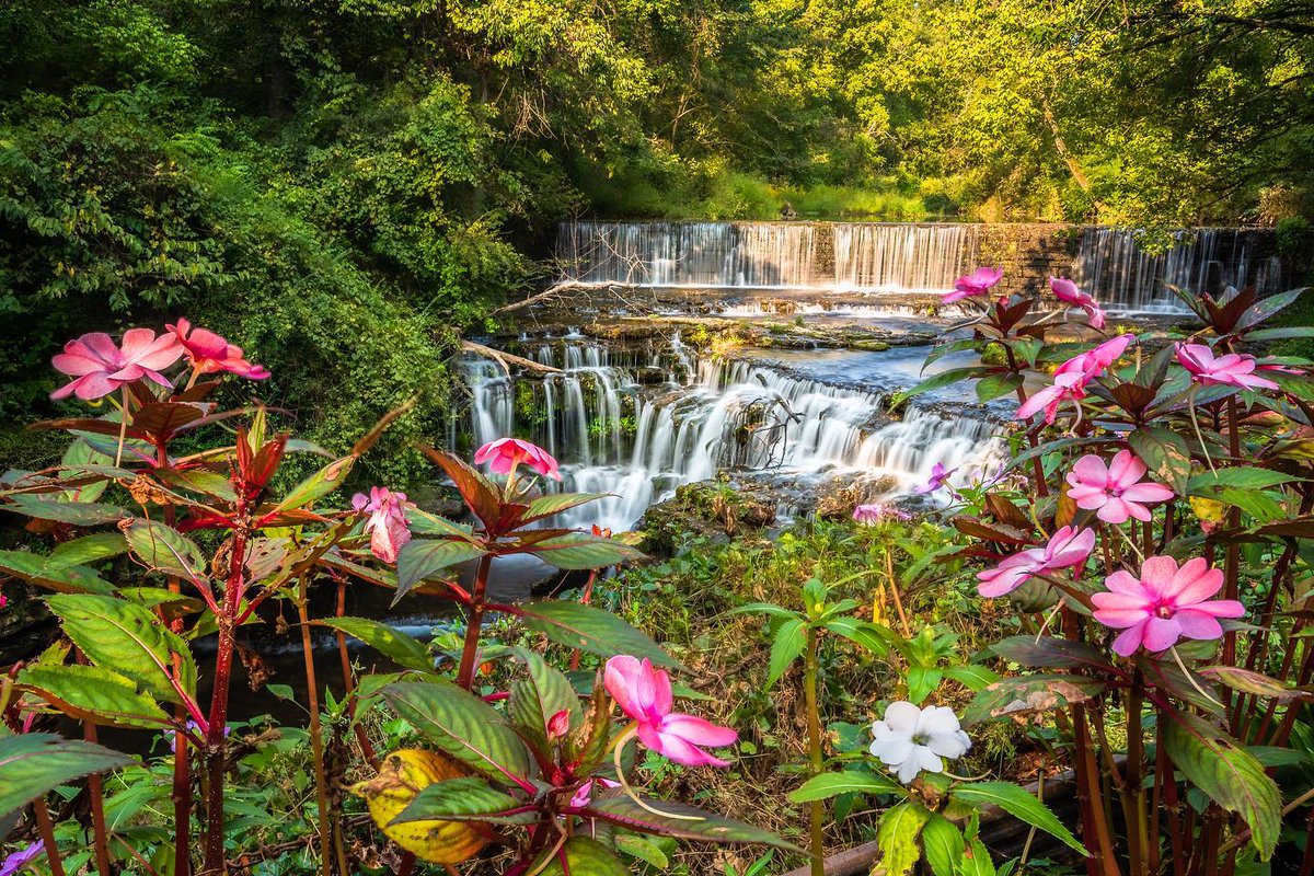 Find your way to these secluded waterfalls in Tennessee for a peaceful day in nature: bit.ly/4bbEL6e 📸: c_scott_photo at Falls Mill #TNSoundsPerfect