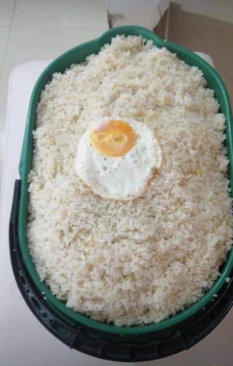 sebastianorrr's tweet photo. mi almuerzo de aquí a final de mes https://t.co/CRUDgPfYiS