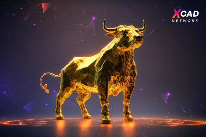 Making blockchain interaction effortless for millions of Web2 users $XCAD leads with simplicity and power.

100X and top 10 will happen in this bull!