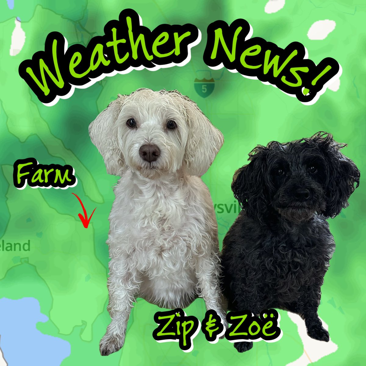 💦 Zoë: What does daylight-savings time mean in the Pacific Northwet? Zip: An extra hour a day of rain! 💦 You can look at the radar to check the weather where we live, but your first clue might be that that is not gel in our hair! #HotttieWeatherGirls