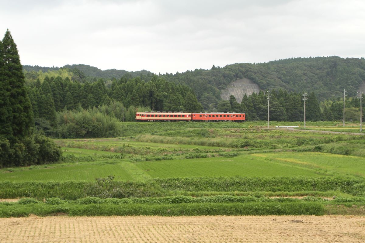 いすみ鉄道　キハ28+キハ52

こういう写真は曇りにしか撮れません、晴れると土手に人がいるんだよ。

(2014/9 大多喜～小谷松間)