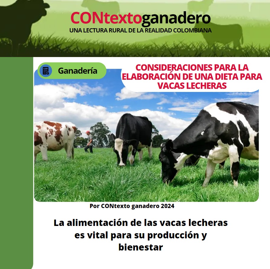 ¡Descubre cómo garantizar una dieta equilibrada para tus vacas lecheras! 🐄contextoganadero.com/ganaderia-sost… a través de @ContGanadero @PlGranada @Fedegan @jflafaurie 
@pl_macarena
@PlPrimavera
@GaitanPasion
@puerto_pl
@PlGuaviare
@PL_SANMARTIN
@LocalProyecto