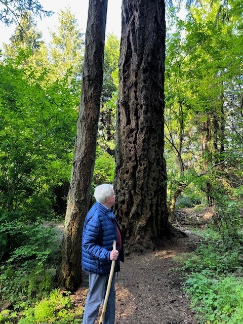 A little BC wilderness hiking adventure with my grand-daughter Alexandra today - she's keeping me on my toes!