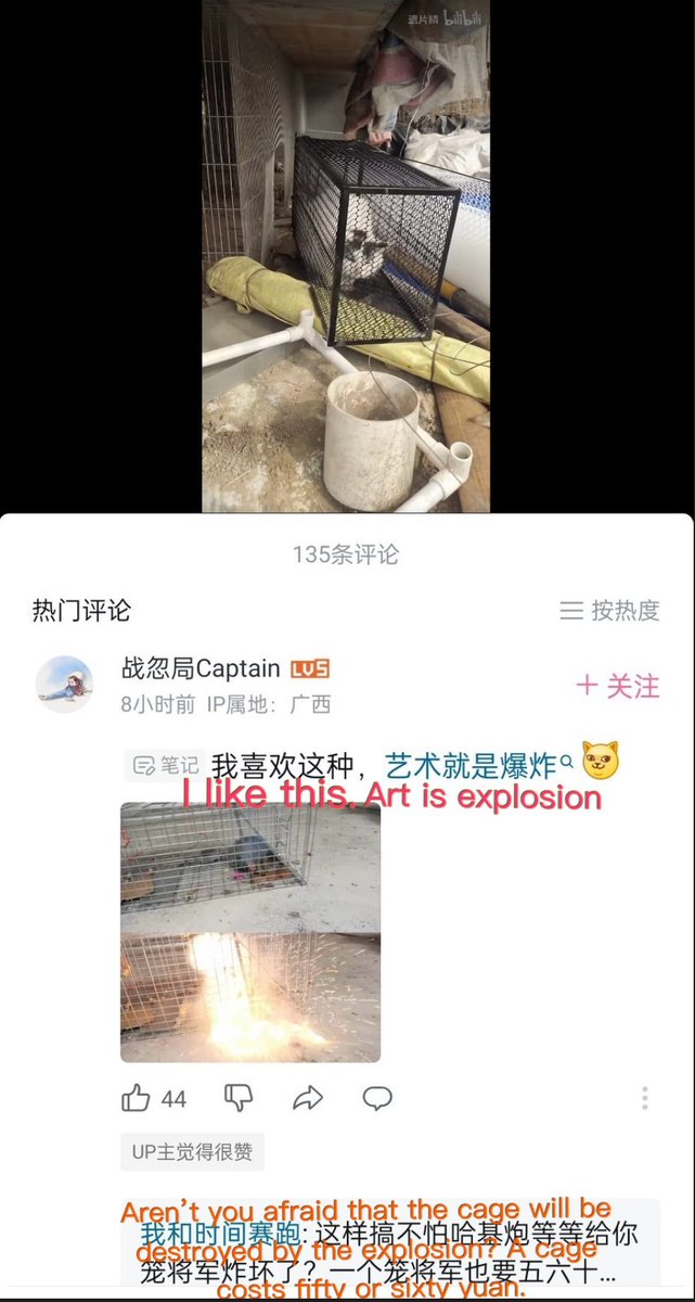 This garbage received over half a million likes in #China on @bilibili_en and just imagine how many views. #BoycottChina 🇨🇳 Garbage @bilibili_en profited off the burning of this innocent cat