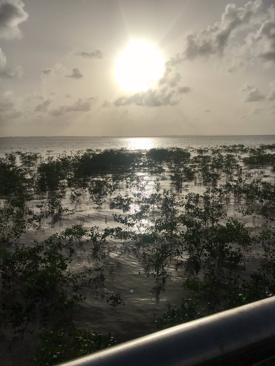 tounna's tweet image. Dernier coucher de soleil à Cayenne avant un retour en France. @StormHour 
@CloudAppSoc  
@ThePhotoHour