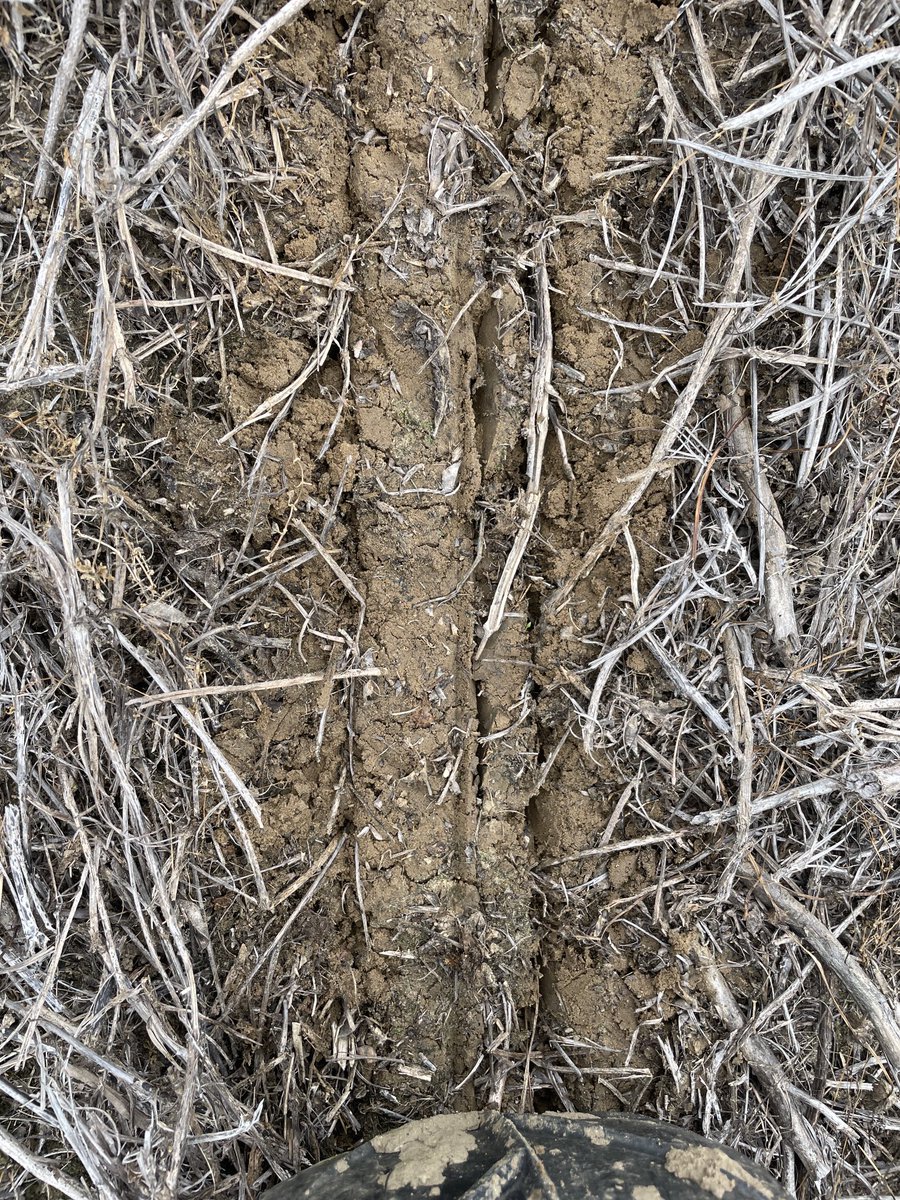 Mike Mulvaney (@thedirtdude) on Twitter photo It was a joy to cone plant <a href="/UnitedSoy/">United Soybean Board</a>’s trials for <a href="/StepUpSoy/">Laura Lindsey</a> <a href="/SoybeanScience1/">Science for Success</a> <a href="/MSSOY/">MS SOYBEAN BOARD</a> today. Gorgeous planting conditions! It was a joy to cone plant <a href="/UnitedSoy/">United Soybean Board</a>’s trials for <a href="/StepUpSoy/">Laura Lindsey</a> <a href="/SoybeanScience1/">Science for Success</a> <a href="/MSSOY/">MS SOYBEAN BOARD</a> today. Gorgeous planting conditions!