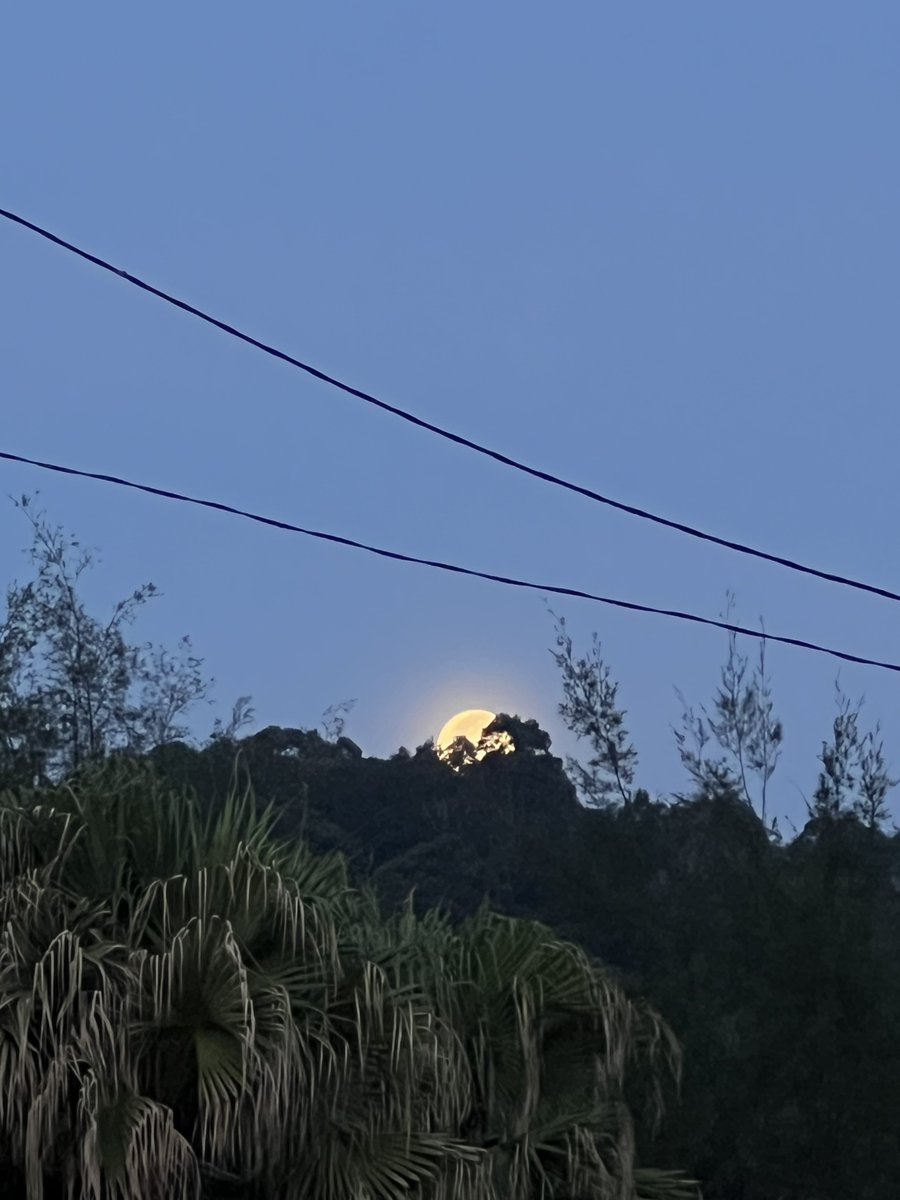 Sunrise Teluk Cempedak harini, tengok belakang ada moonset aduuu ruginya kalau tak boleh shoot menara kuantan dengan bulan🙂‍↕️