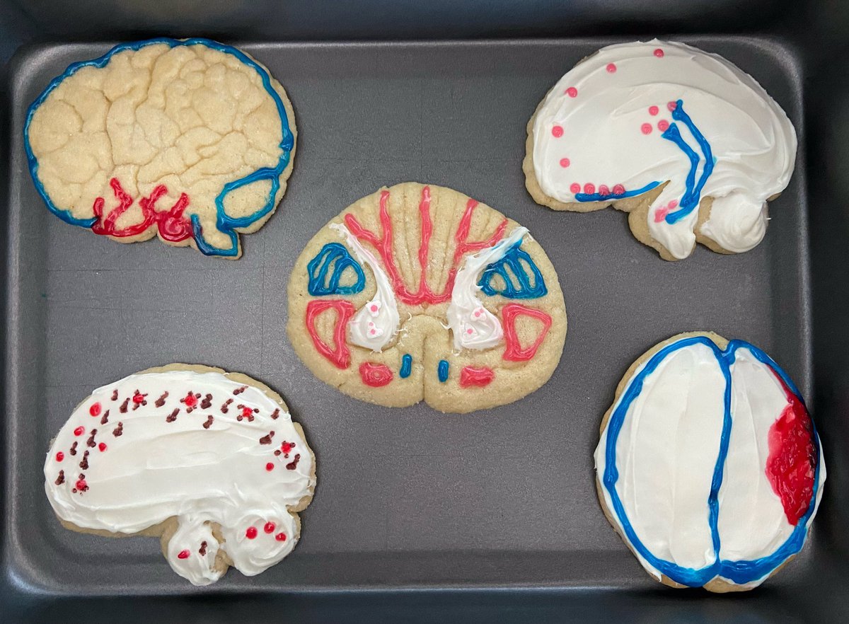 TsankovA lab (Nadia) tweet media