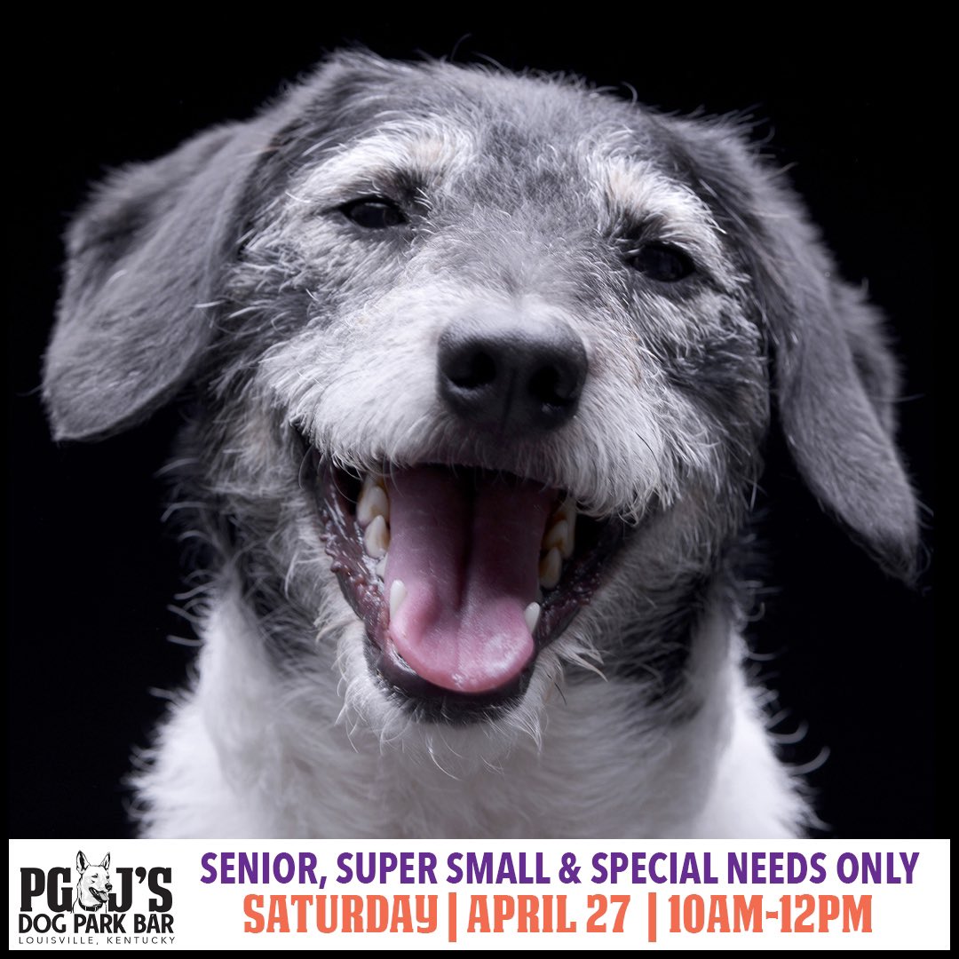 🐕Special Hours Saturday for Senior, Special Needs and Super Small Pups! 10am-Noon The Park is All Yours! S.S.S. FREE Park Entry Too! 😍🐶

#seniordogs #louisvilledogs #dogsoflouisville #dogsof_louisville #specialneedsdog #louisville #louisvilleky #pgjdogbar