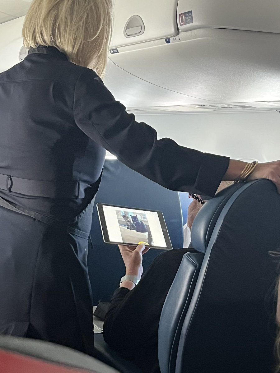 chaskitchen's tweet image. A real wholesome moment on todays flight with a passenger scrolling through photos of their cat with the flight attendant 😂. @Delta