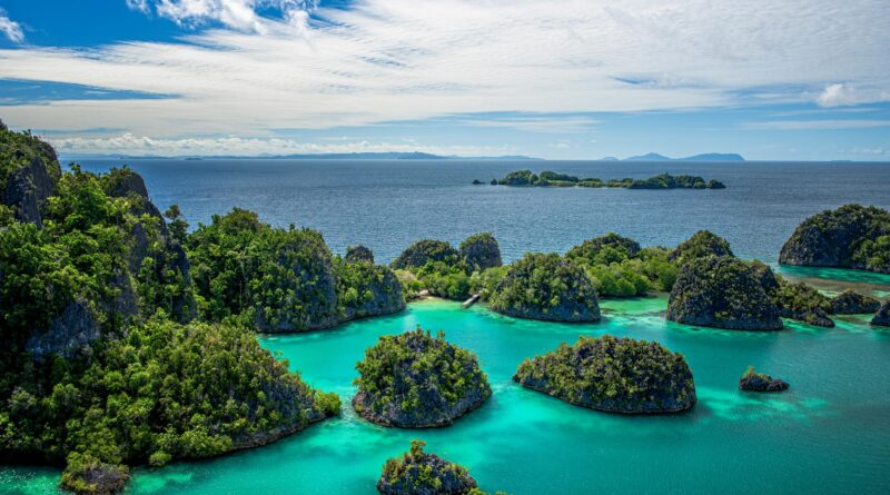 FordMJPA's tweet photo. The Importance of the Social Cost of Carbon for Indonesia: https://t.co/BbKs371Ayd https://t.co/vHU4w6B3Ox