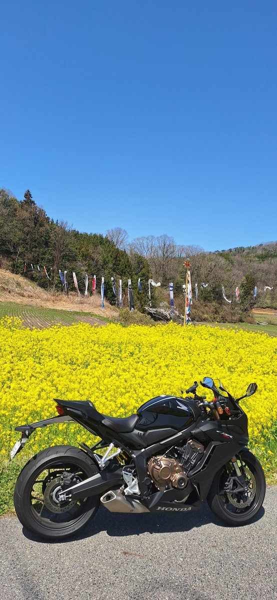 cbr650r_guida tweet picture