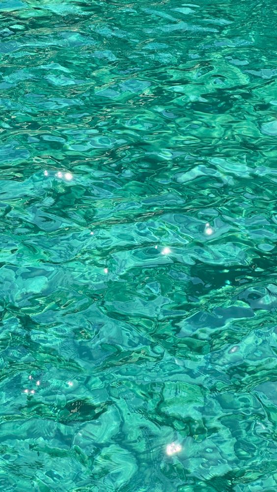 Ragnilotl's tweet photo. Reply for a colour!!   

I got Cyan~🌊

🌊Aesthetic
🌊Album or Song
🌊Tree
🌊Character https://t.co/JtwXx2n4Pu