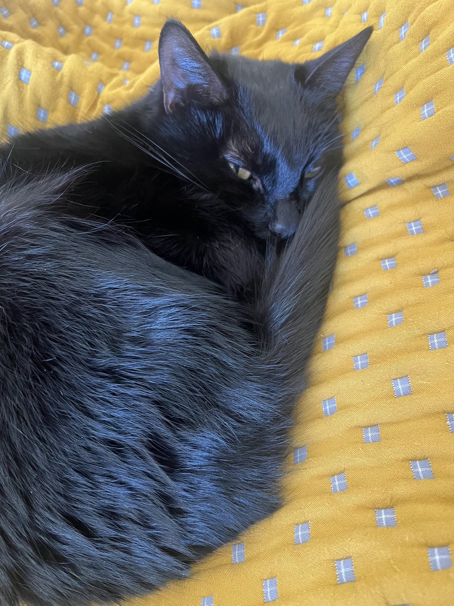 Wyatt Clark tweet media