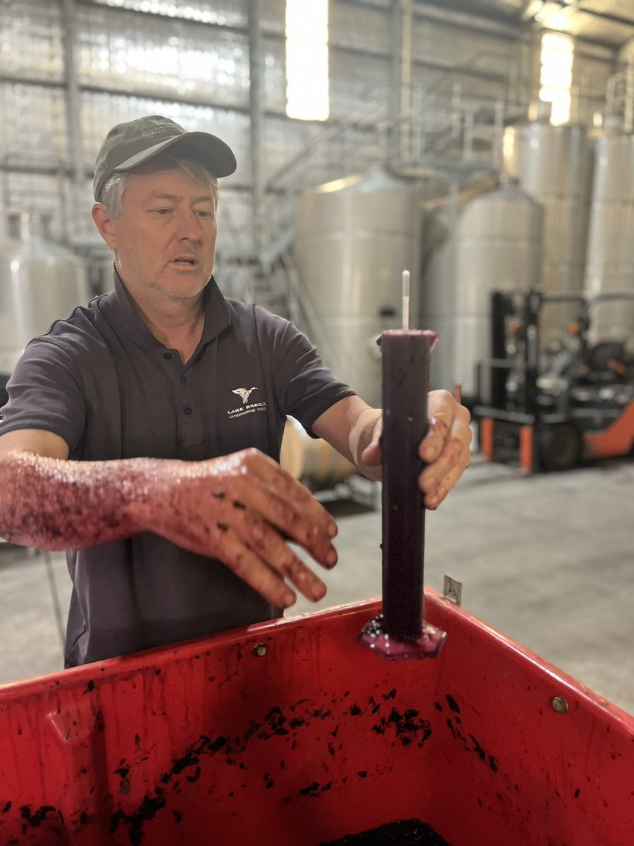 the last of our #v24 ferments, the petit verdot is being plunged a few times each day and is looking fantastic.