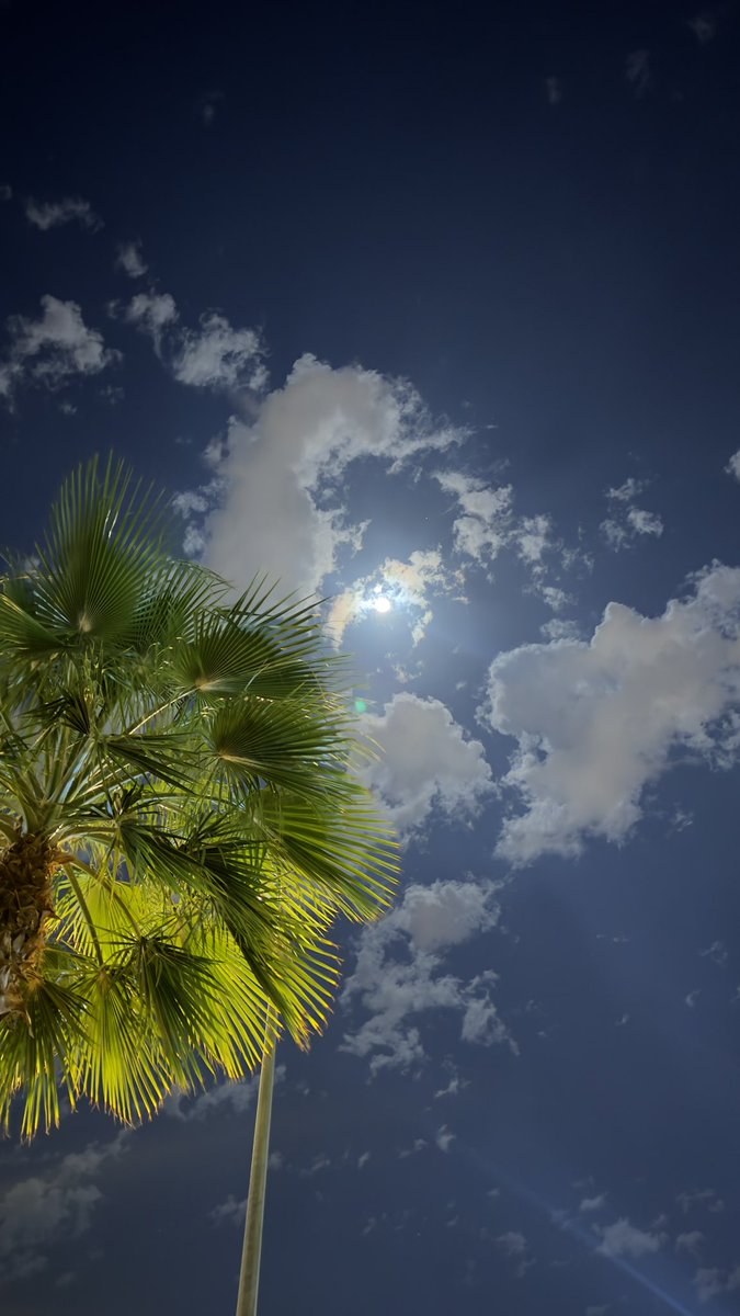 md_slob's tweet photo. ↴•• زحمة شعور  📜 🍃

" أعلق أحلامي على حَافة الغيم إن طحننا غَيث وَإن بقينا سحابة " https://t.co/OXNVVcY1f8