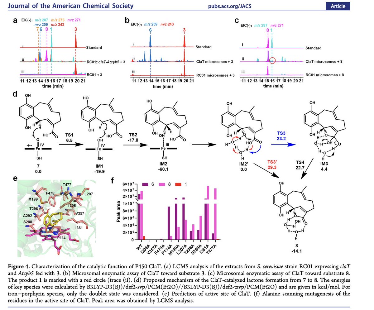 Two Cytochrome P450 #Enzymes Form the Tricyclic Nested Skeleton of Meroterpenoids by Sequential Oxidative Reactions by E. Yang, Y. Yao, H. Su, Z. Sun, S.-S. Gao, S. Sureram, P. Kittakoop, K. Fan, Y. Pan, X. Xu, Z.-H. Sun, G. Ma, G. Liu in @J_A_C_S pubs.acs.org/doi/10.1021/ja…