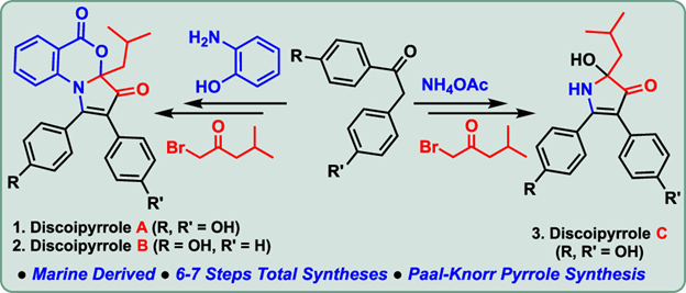 Check out the recent story of 'Total Syntheses of Discoipyrroles A, B and C, Three Marine Natural Products' in #JOrgChem by @KrishnaPKaliap1 and @DakeGaurav from @iitbombay pubs.acs.org/doi/10.1021/ac…