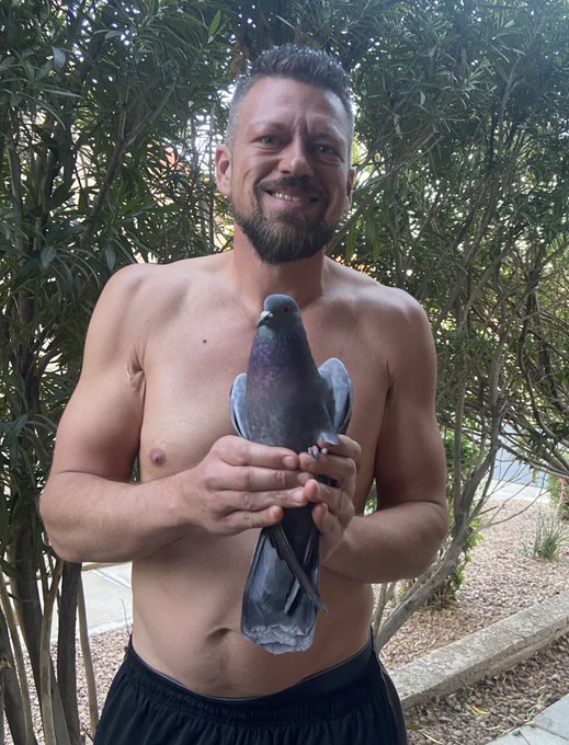 Birds behold the beauty of tomorrow and yesterday. https://t.co/IsMmbsia3f