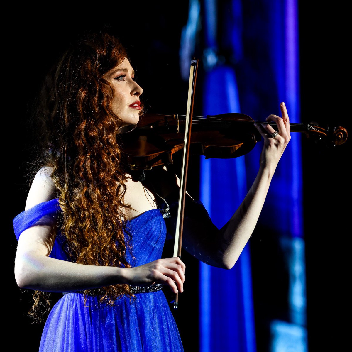 The Blue Gate tweet media