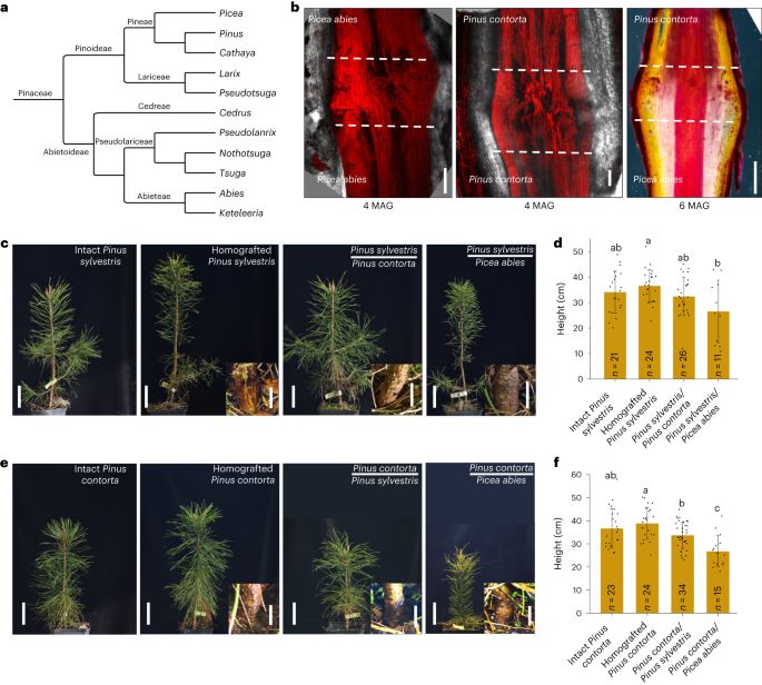 Plant Science tweet media