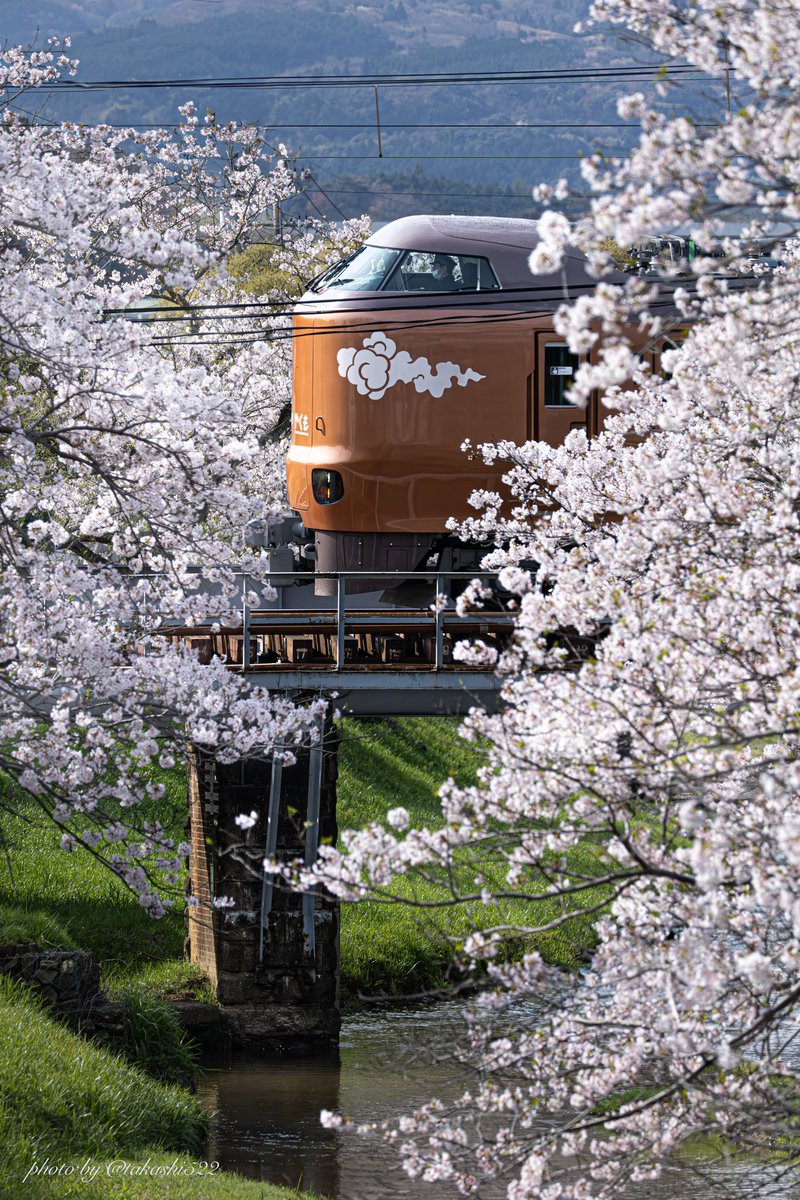 玉湯川の桜と新型やくも
#やくも
#273系