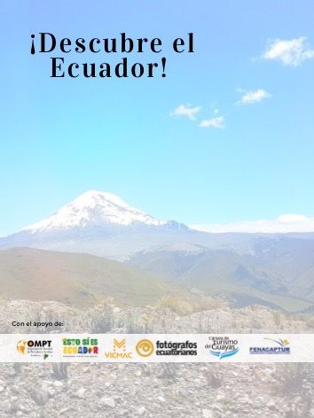 ¡Al fin!
La publicación más reciente de la revista fototurística "Ecuador por mis lentes", <a href="/ECpormislentes/">EcuadorPorMisLentes</a> ¡Compártanlo con el mundo entero! para que sepan que en nuestro país ocurren cosas maravillosas.

Dale click al link 👇
issuu.com/revistaecpl/do…