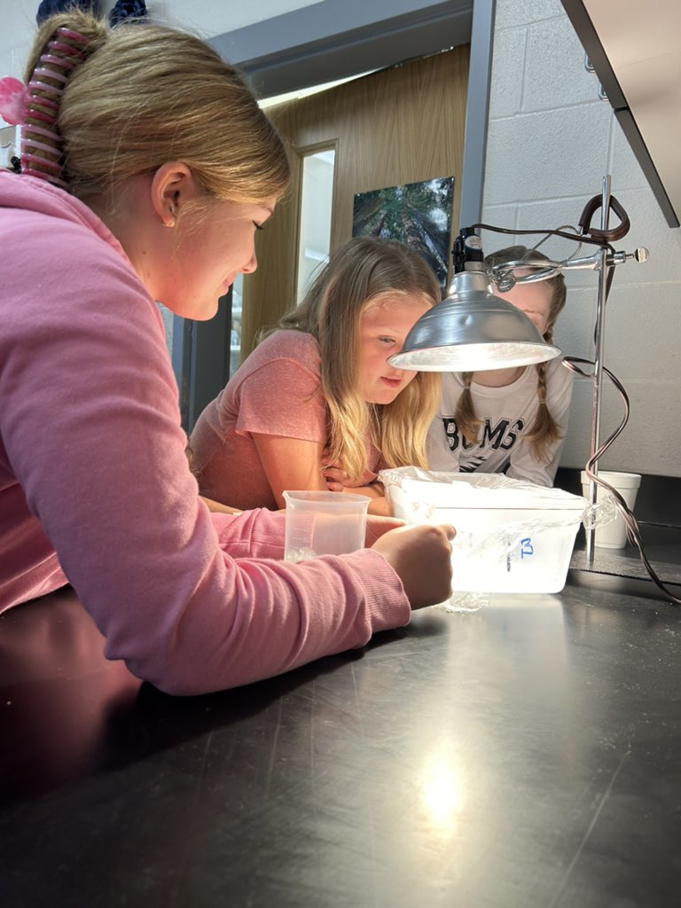 Boyle County Middle School tweet media