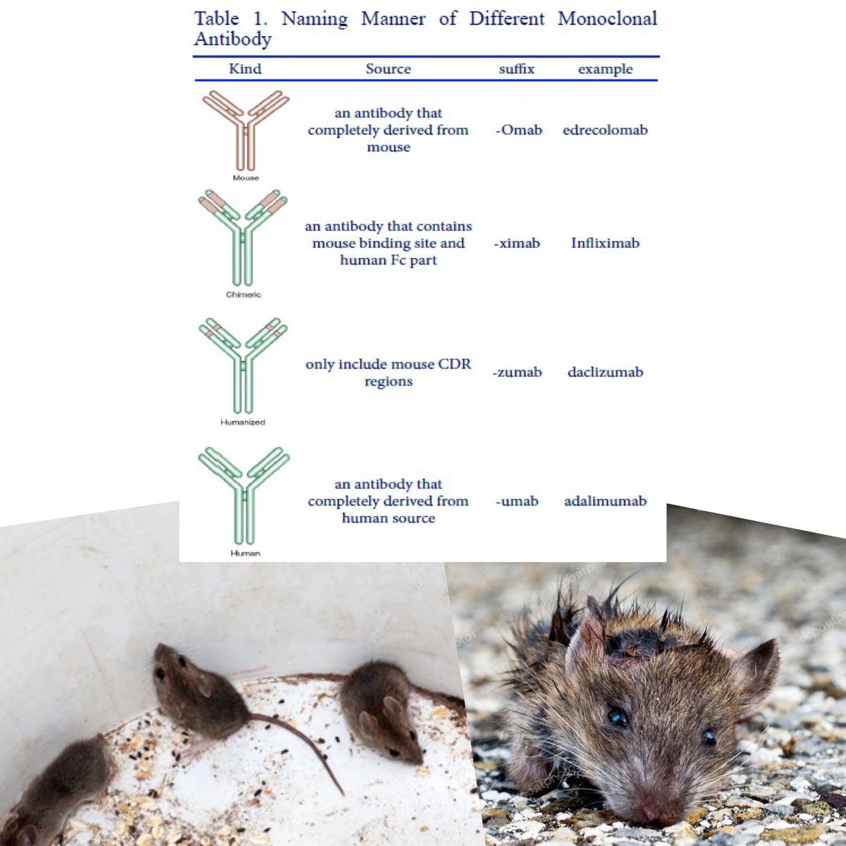 Notice that most of the pharma  drugs advertised now end in 'mab'

No more money in single molecules, so we are off to the races with (m)onoclonal (a)nti(b)bodies...mouse cells. 

Frauds