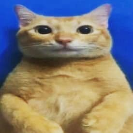 Bet0ven's tweet photo. @KaedeKat_ Eso, si la neta https://t.co/VN1Q6xkM9v