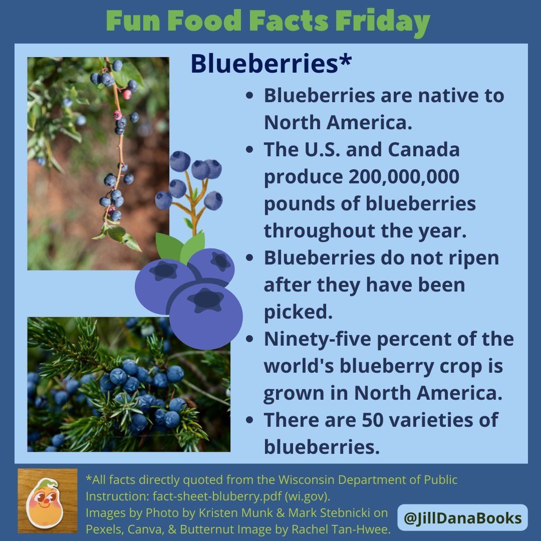 Fun Food Facts Friday - #FoodFacts 4 Kids BLUEBERRIES*🫐 For more #FunFoodFacts, visit @jilldanabooks on IG #WhereFoodComesFrom #FarmFresh #ButternutBuddies #ButternutBook #LearnAboutFoods #FunFacts #forkids #FactsFriday #blueberry #blueberryfacts #berries #FunFoodFactsFriday