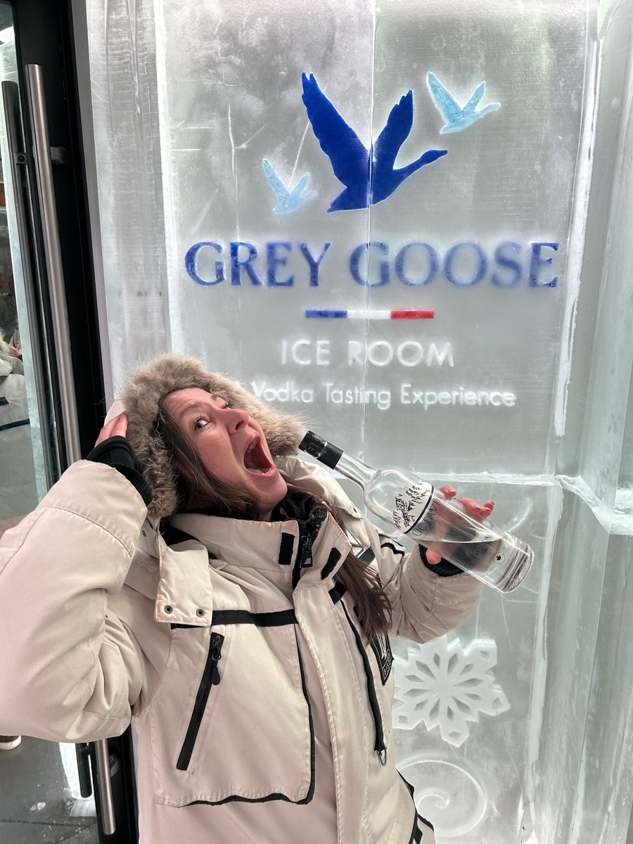 Wow that was cold, pricey but worth the time (once ever)!! Whistler Grey goose room!